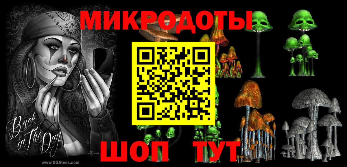Галлюциногенные грибы Psilocybe Прохладный